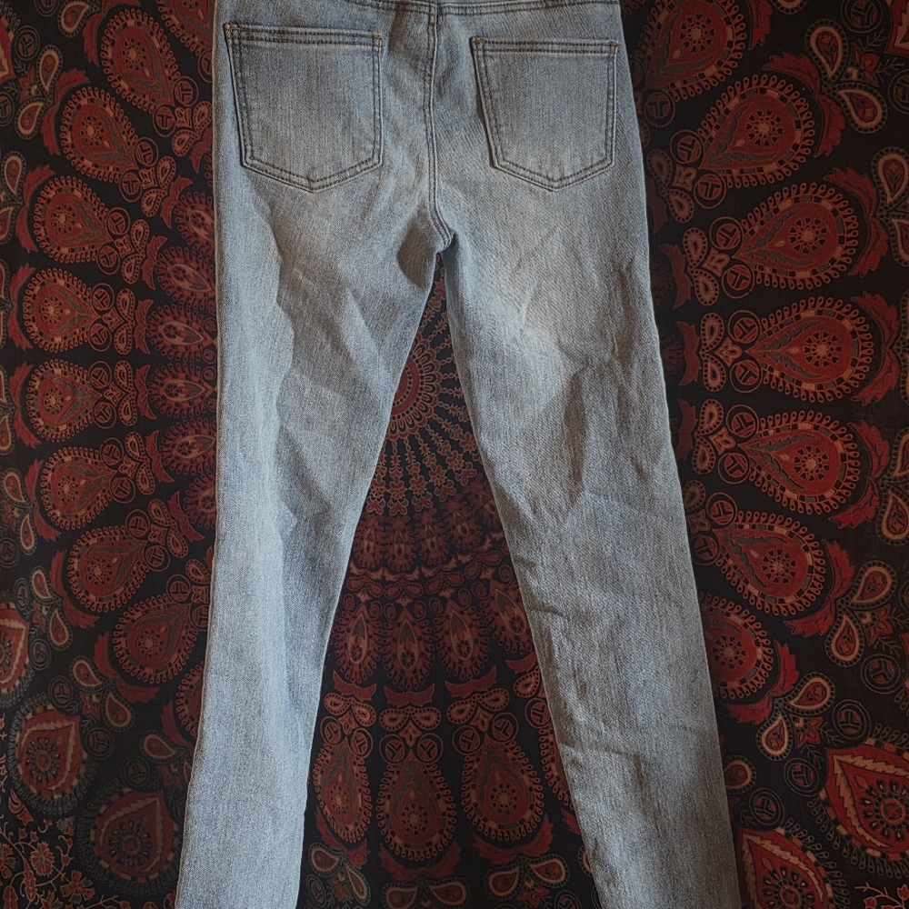 Cherokee Light Blue Skinny Jeans with Multicolor Floral Embroidery - Picture 3 of 4